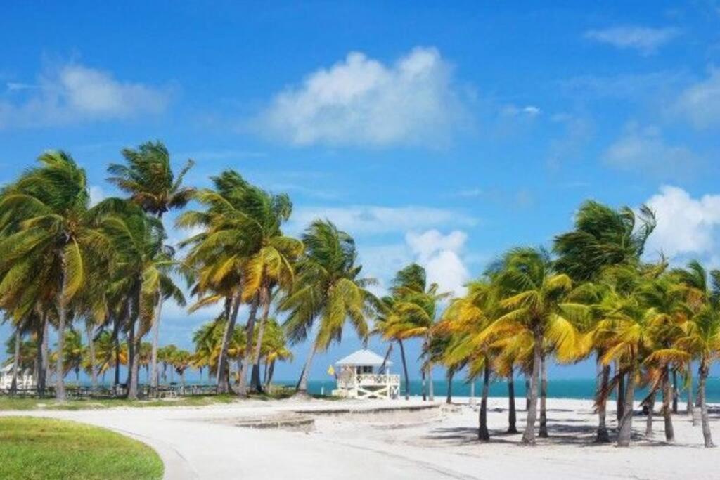 My Lovely Home In Miami 15 Minutes From The Beach Zewnętrze zdjęcie